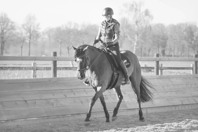 Rijnlandhoeve paardrijden