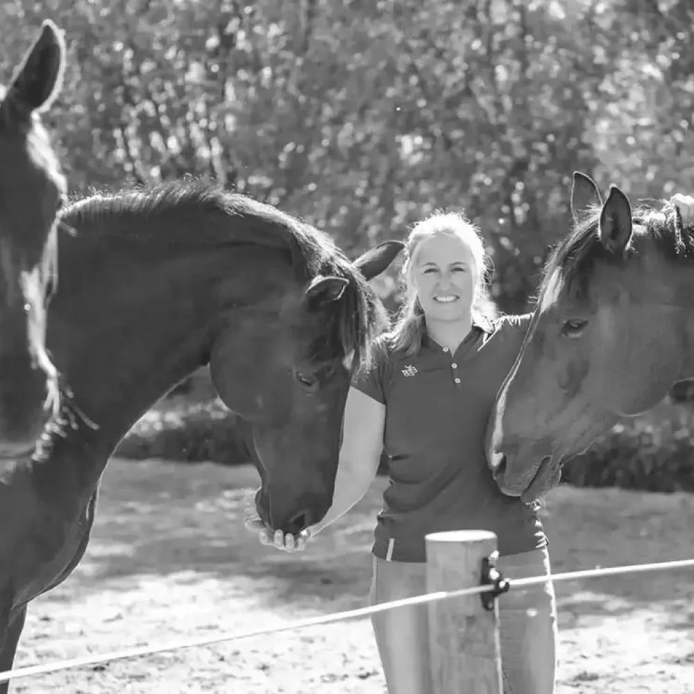 Rijnlandhoeve Marieke met de paarden